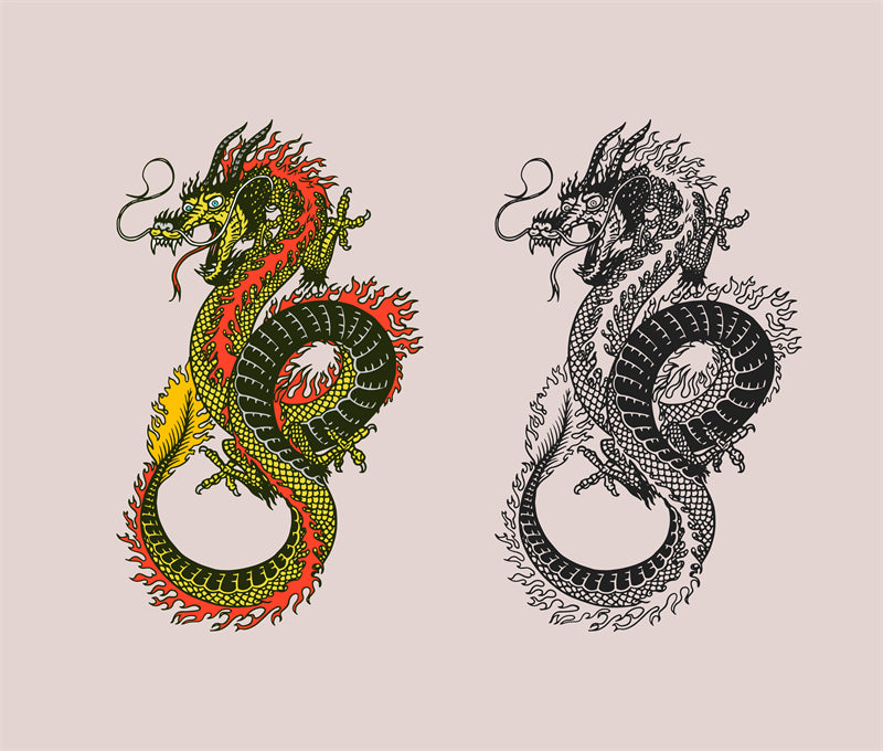 _silhouettes_de_dragons_volants_reptiles_crachant_du_feu_dragons_médiévaux_ailés_mascottes_dragons_effrayants_ensemble_d'illustrations_vectorielles_plates_silhouettes_dragons_fées