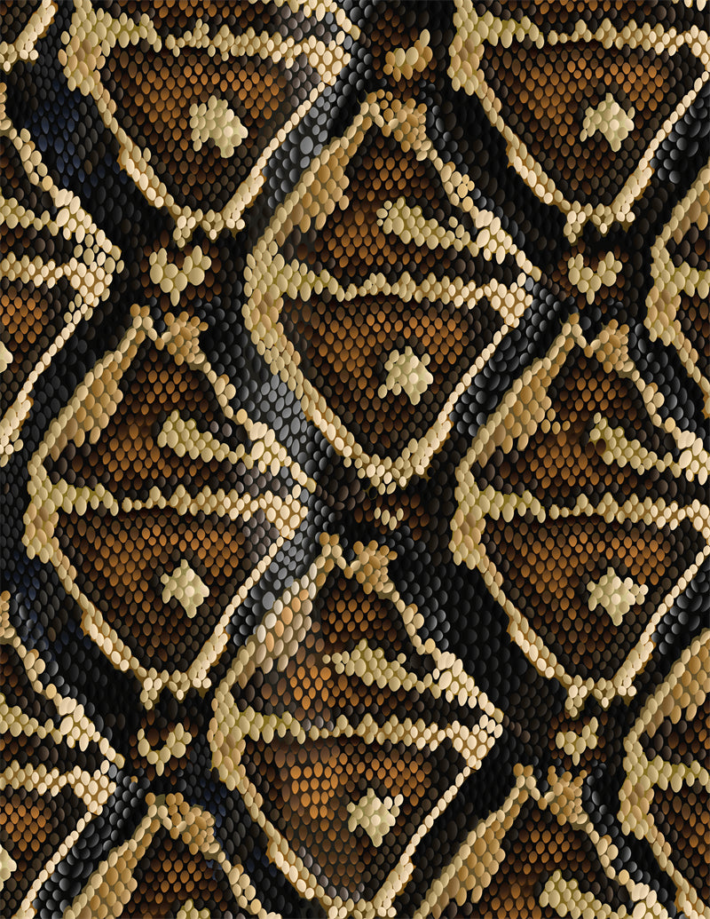 python Snake Skin Pattern - Illustration Free Download