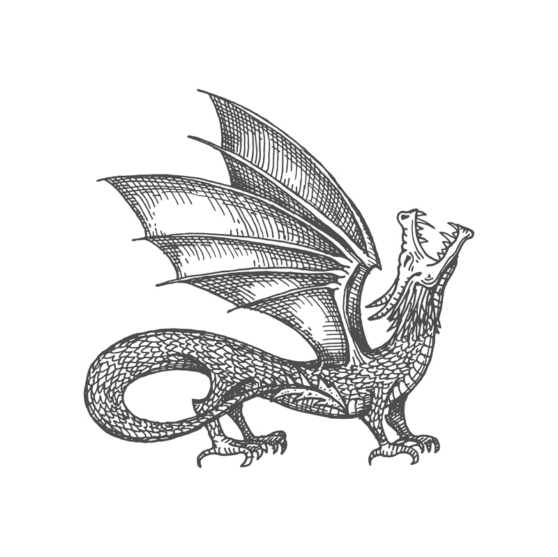 _silhouettes_de_dragons_volants_reptiles_crachant_du_feu_dragons_médiévaux_ailés_mascottes_dragons_effrayants_ensemble_d'illustrations_vectorielles_plates_silhouettes_dragons_fées