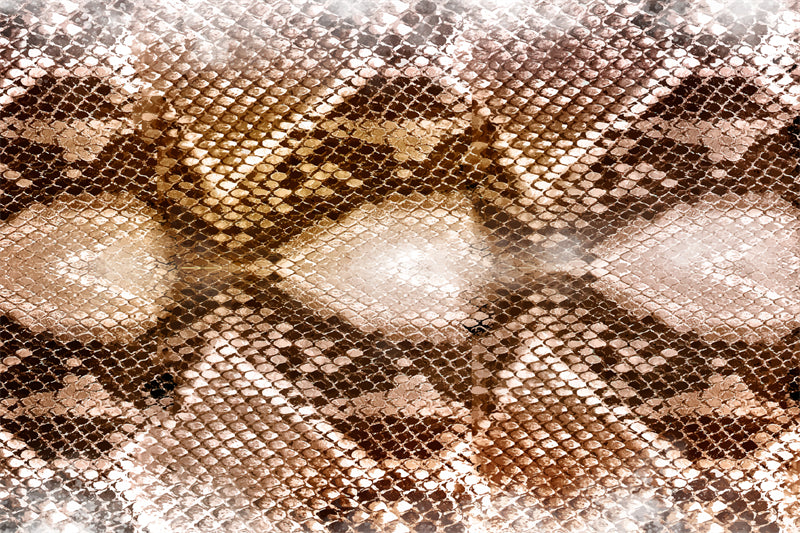 python Snake Skin Pattern - Illustration Free Download