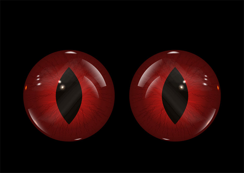 Illustration d'un globe oculaire dessiné à la main - Vecteur - Conception de logo - Yeux enflammés