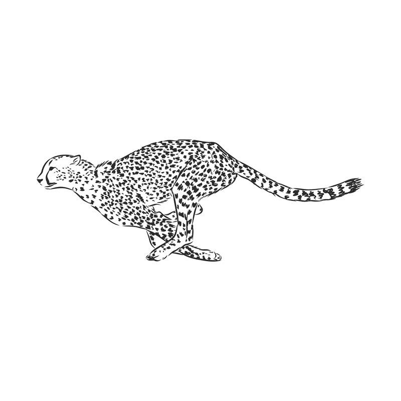  Jaguars - elements - handdraw -logo designs -sketch -illustration  