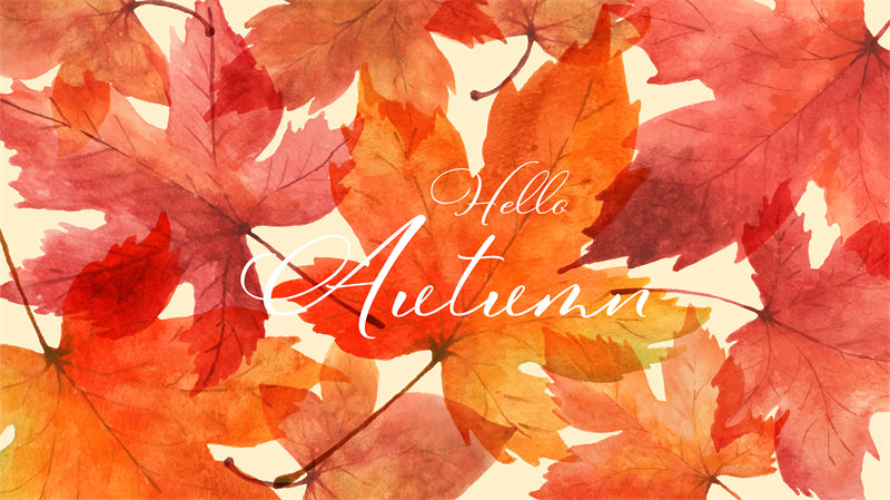 Canada Maple Elements - Illustration -Vector -Water Color Handdraw Background 
