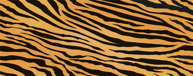 Tiger Skin Pattern Texture Vector- Illustration Free Download