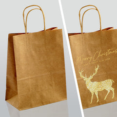 Paper Bag DIY GIFT