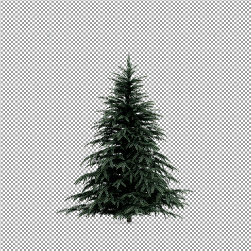 Illustration d'un sapin de Noël dessiné à la main - Vecteur - Téléchargement gratuit au format PNG/PSD/JPG