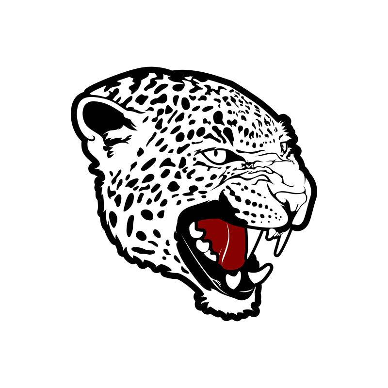  Jaguars - elements - handdraw -logo designs -sketch -illustration  