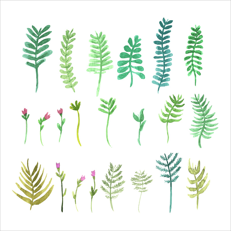 Feuille aquarelle dessinée à la main – Éléments de logo – Vecteur