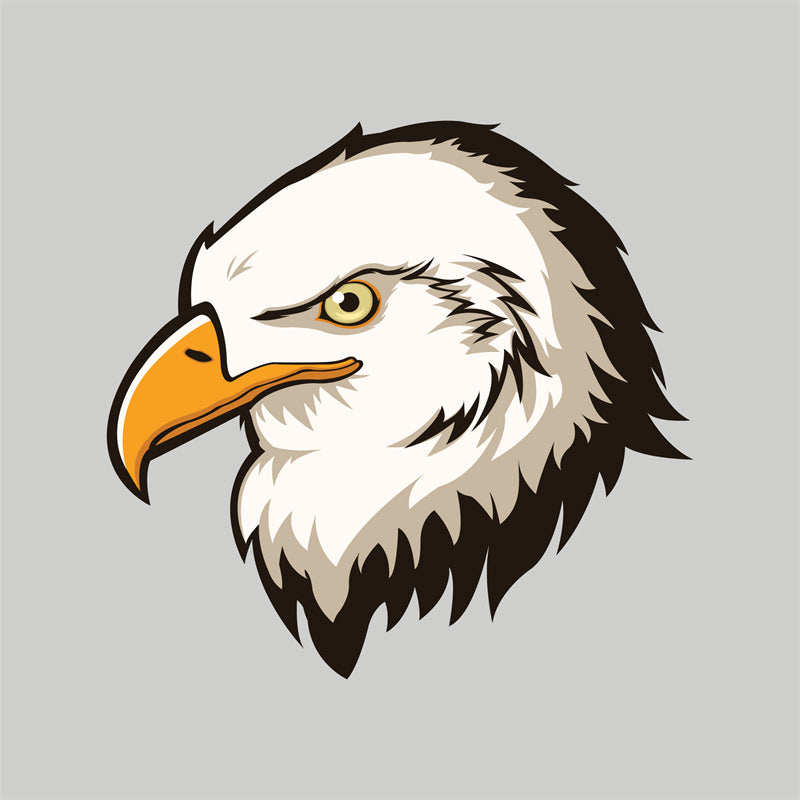 USA BALD Eagle Elements - Illustration - Design Vector Handdraw   