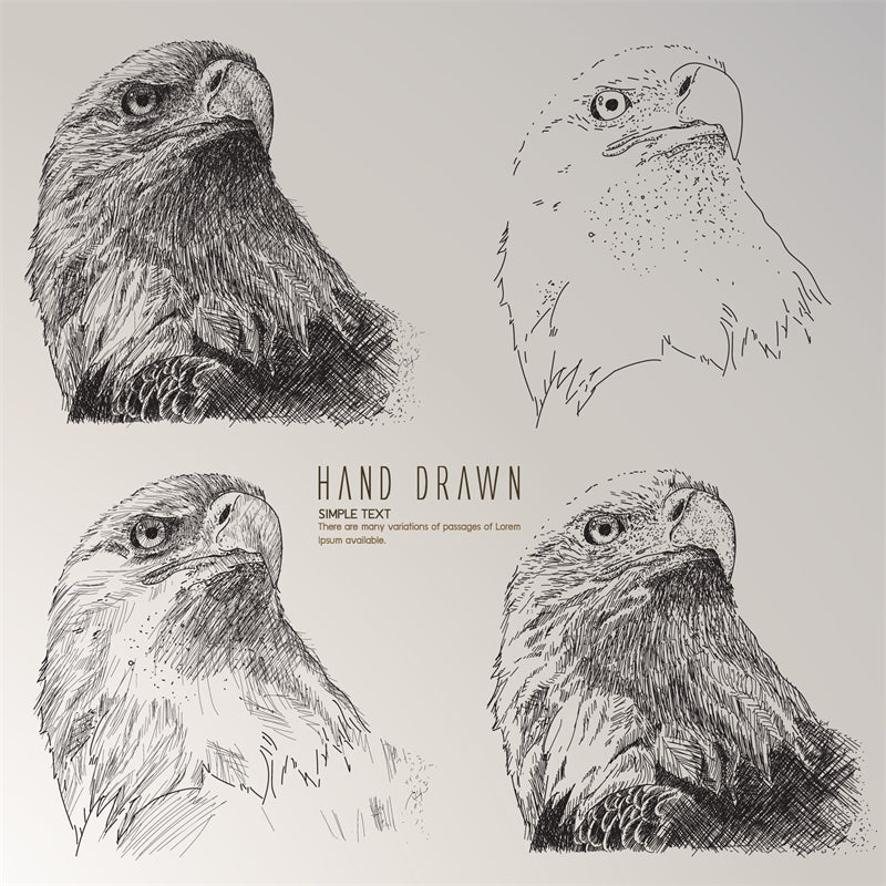 USA BALD Eagle Elements - Illustration - Design Vector Handdraw   