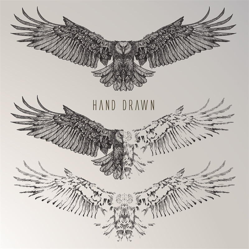 USA BALD Eagle Elements - Illustration - Design Vector Handdraw   