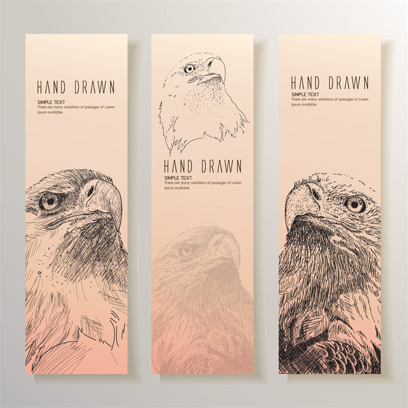 USA BALD Eagle Elements - Illustration - Design Vector Handdraw   