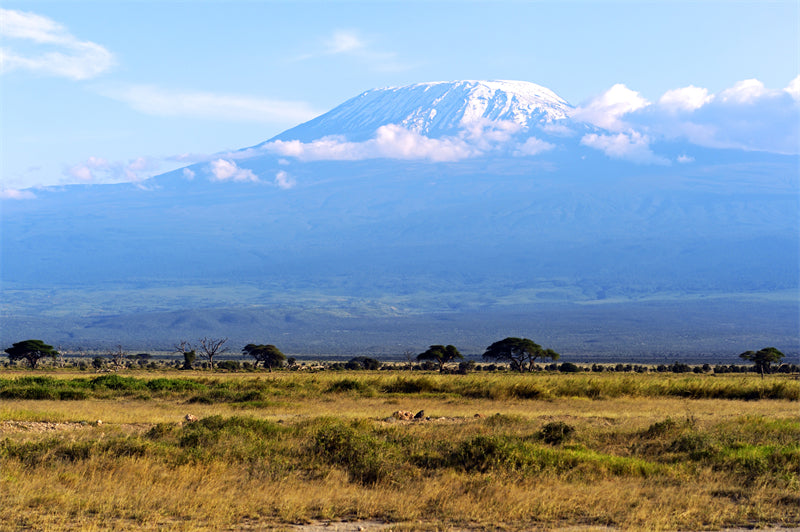 Kilimandjoro - Fond d'écran photo - Paysage africain - Téléchargement gratuit au format PNG/PSD/JPG