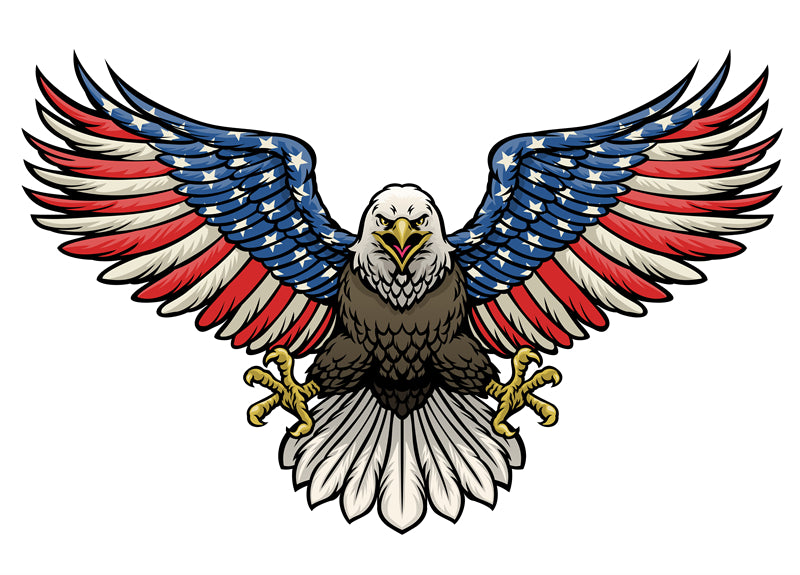 Éléments d'aigle à tête blanche des États-Unis - Illustration - Éléments de drapeau, badge, dessin vectoriel à la main