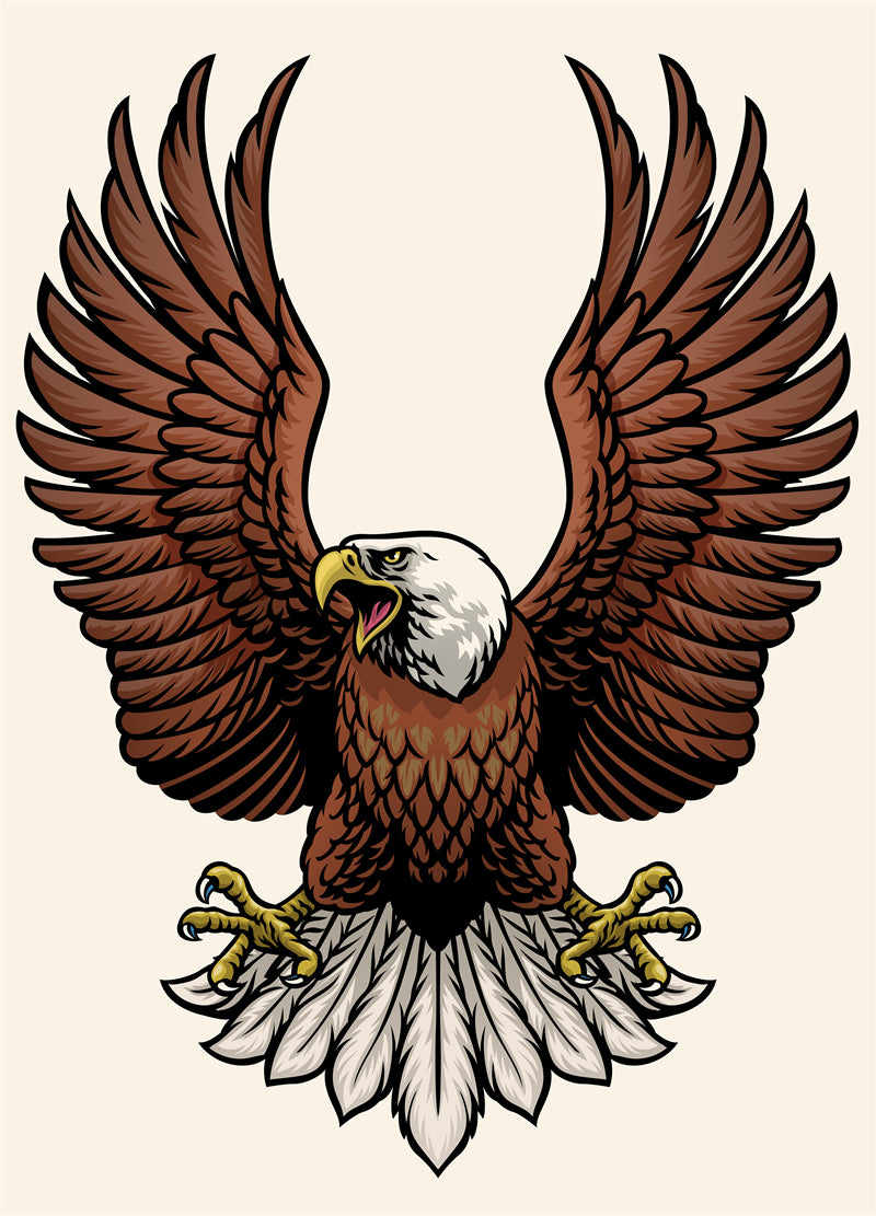 USA BALD Eagle Elements - Illustration - Design Vector Handdraw   