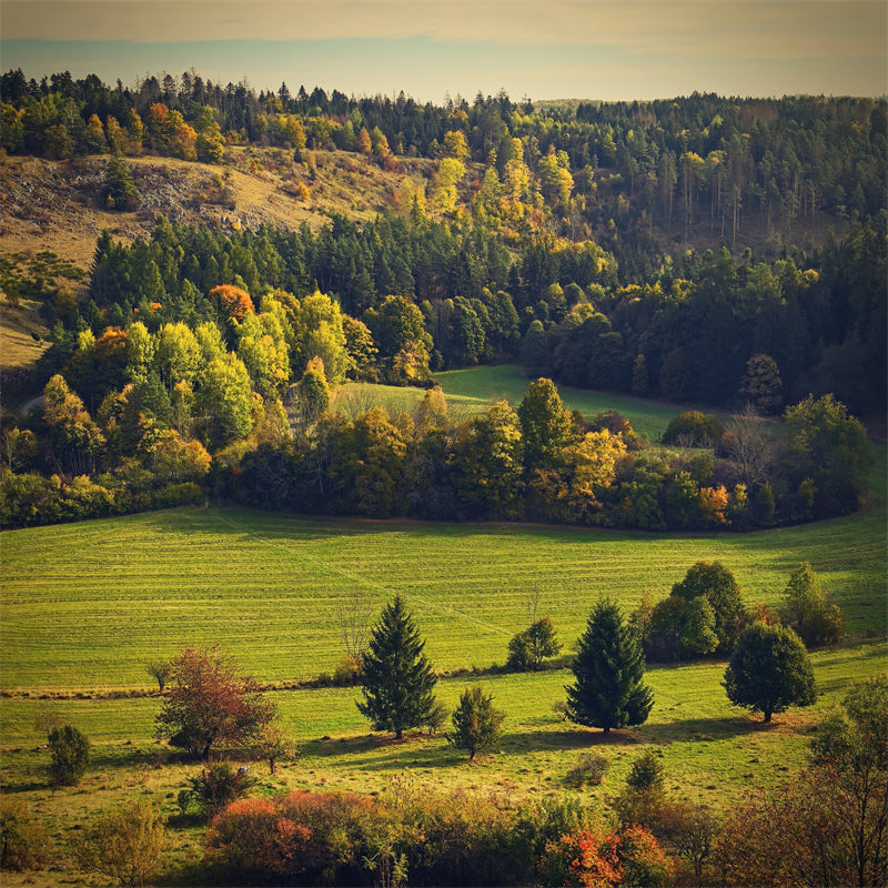 Photo Country Side Landscape - France - Blooming Violet field - valley - Png/PSD/JPG/ Free Download