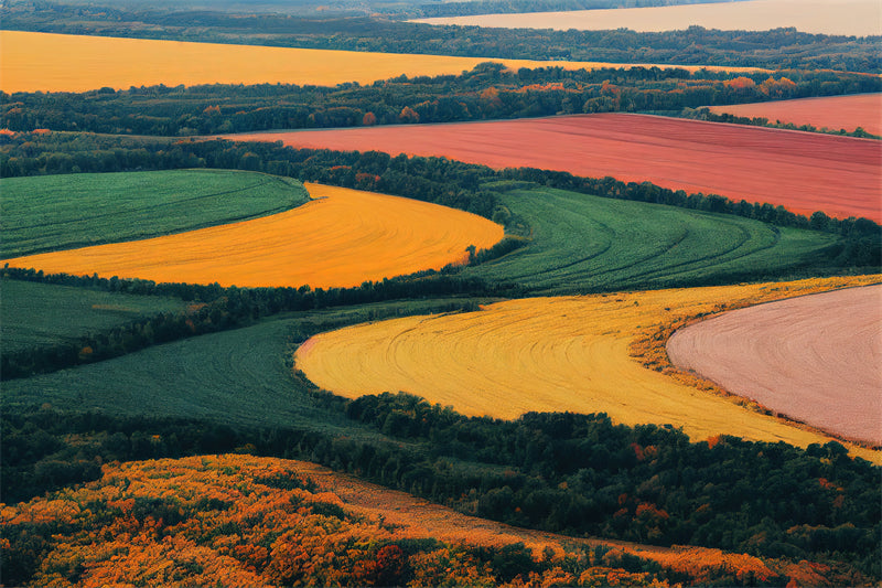 Photo Country Side Landscape - France - Blooming Violet field - valley - Png/PSD/JPG/ Free Download