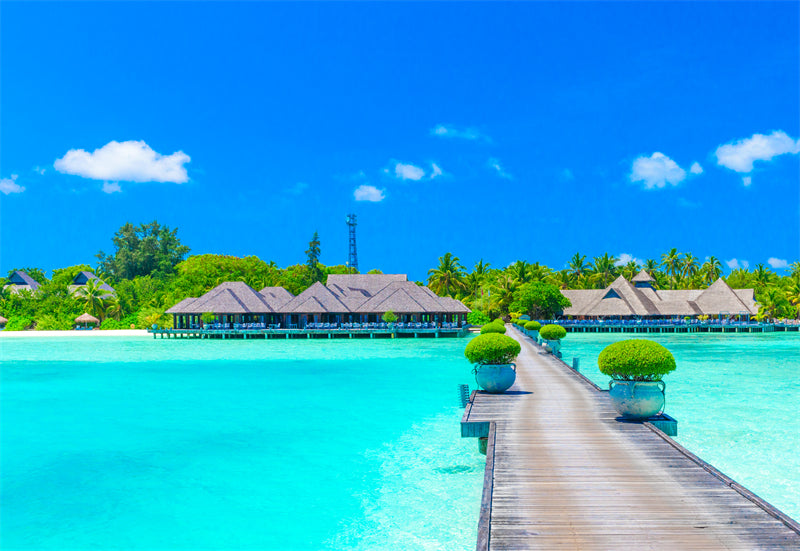 Tourist Maldives - Seaside island beach ocean landscape - photo wallpaper background - Png/JPG/ Free Download
