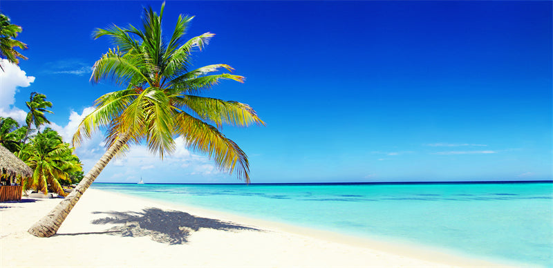 Paysage de bord de mer - Plage des Maldives avec palmiers - Plage tropicale des Caraïbes - Téléchargement gratuit en PNG/PSD/JPG