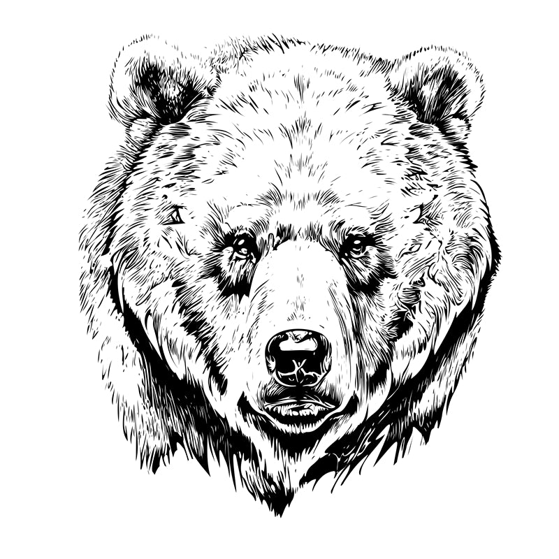 Bear Illustration - Handdraw ELEMENTS - Logo Design Download   
