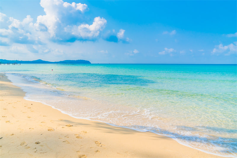 Paysage de bord de mer - Plage des Maldives avec palmiers - Plage tropicale des Caraïbes - Téléchargement gratuit en PNG/PSD/JPG