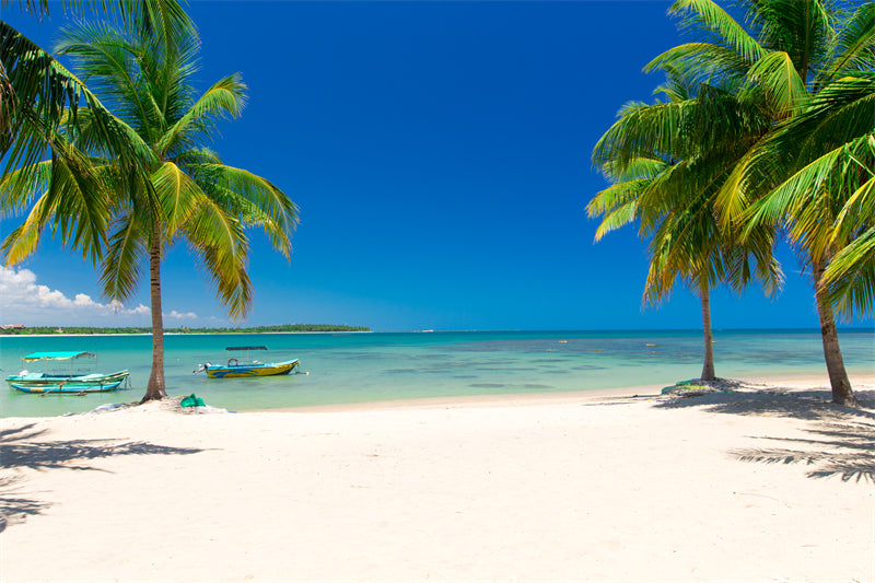 Paysage de bord de mer - Plage des Maldives avec palmiers - Plage tropicale des Caraïbes - Téléchargement gratuit en PNG/PSD/JPG