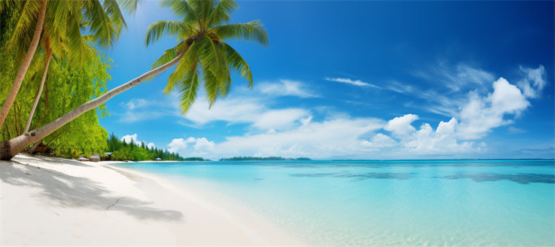 Seaside Landscape - Maldive beach with palms tree - Tropical Beach caribbean - Png/PSD/JPG/ Free Download