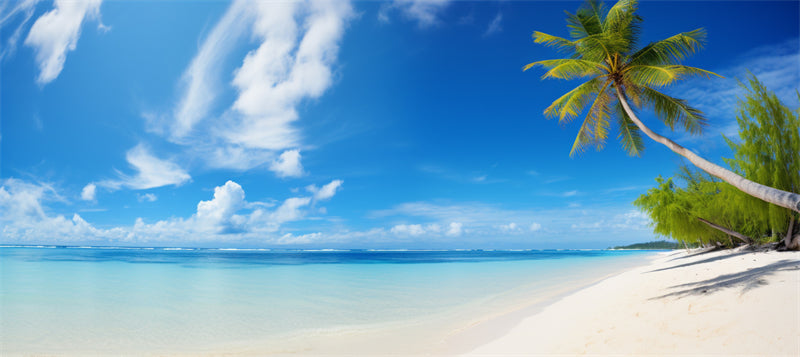 Paysage de bord de mer - Plage des Maldives avec palmiers - Plage tropicale des Caraïbes - Téléchargement gratuit en PNG/PSD/JPG