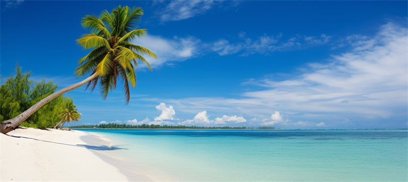Paysage de bord de mer - Plage des Maldives avec palmiers - Plage tropicale des Caraïbes - Téléchargement gratuit en PNG/PSD/JPG