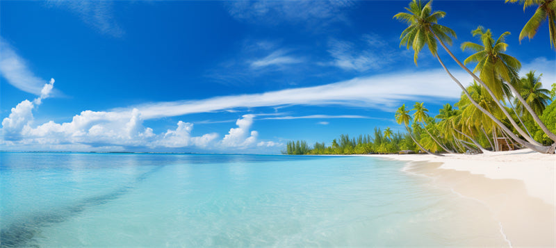 Tourist Maldives - Seaside island beach ocean landscape - photo wallpaper background - Png/JPG/ Free Download