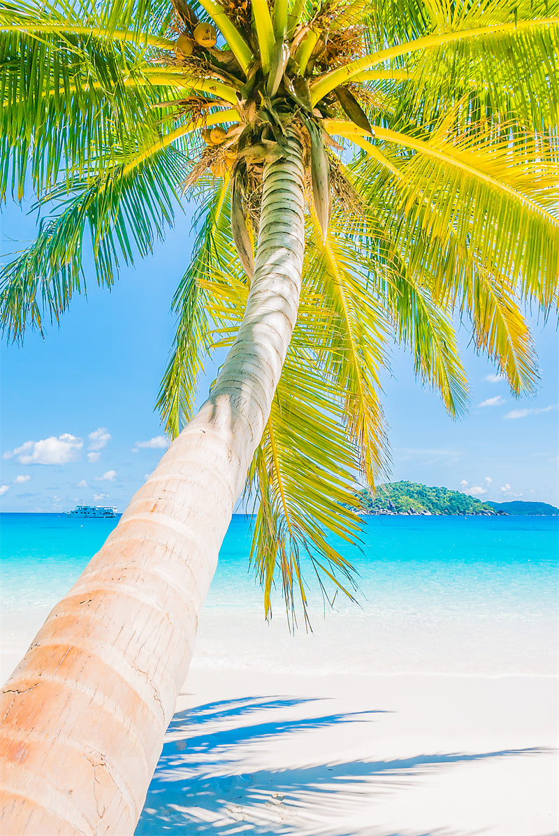 Paysage de bord de mer - Plage des Maldives avec palmiers - Plage tropicale des Caraïbes - Téléchargement gratuit en PNG/PSD/JPG