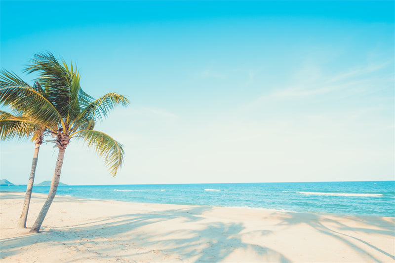 Paysage de bord de mer - Plage des Maldives avec palmiers - Plage tropicale des Caraïbes - Téléchargement gratuit en PNG/PSD/JPG