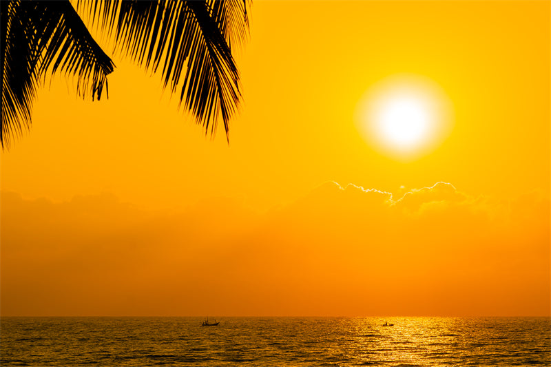 Seaside sunset at dawn - Palms tree silhouette -  Poster design background nature landscape - Png/PSD/JPG/ Free Download 