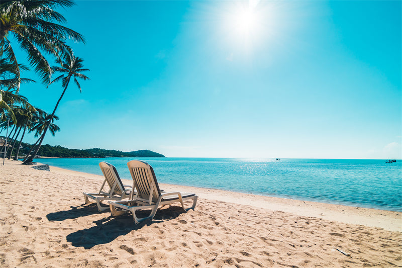 Paysage de bord de mer - Plage des Maldives avec palmiers - Plage tropicale des Caraïbes - Téléchargement gratuit en PNG/PSD/JPG