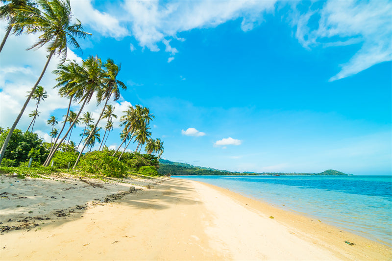 Paysage de bord de mer - Plage des Maldives avec palmiers - Plage tropicale des Caraïbes - Téléchargement gratuit en PNG/PSD/JPG