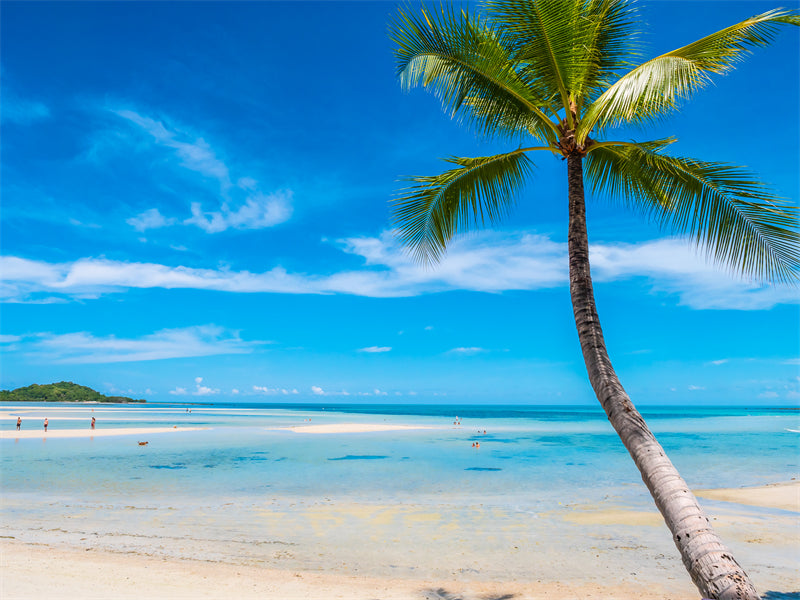 Paysage de bord de mer - Plage des Maldives avec palmiers - Plage tropicale des Caraïbes - Téléchargement gratuit en PNG/PSD/JPG