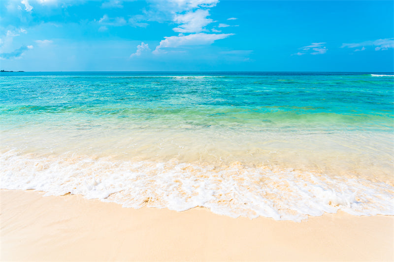 Seaside Landscape - Silent Sea Calm sea surface - sea waves on the beach - Png/PSD/JPG/ Free Download