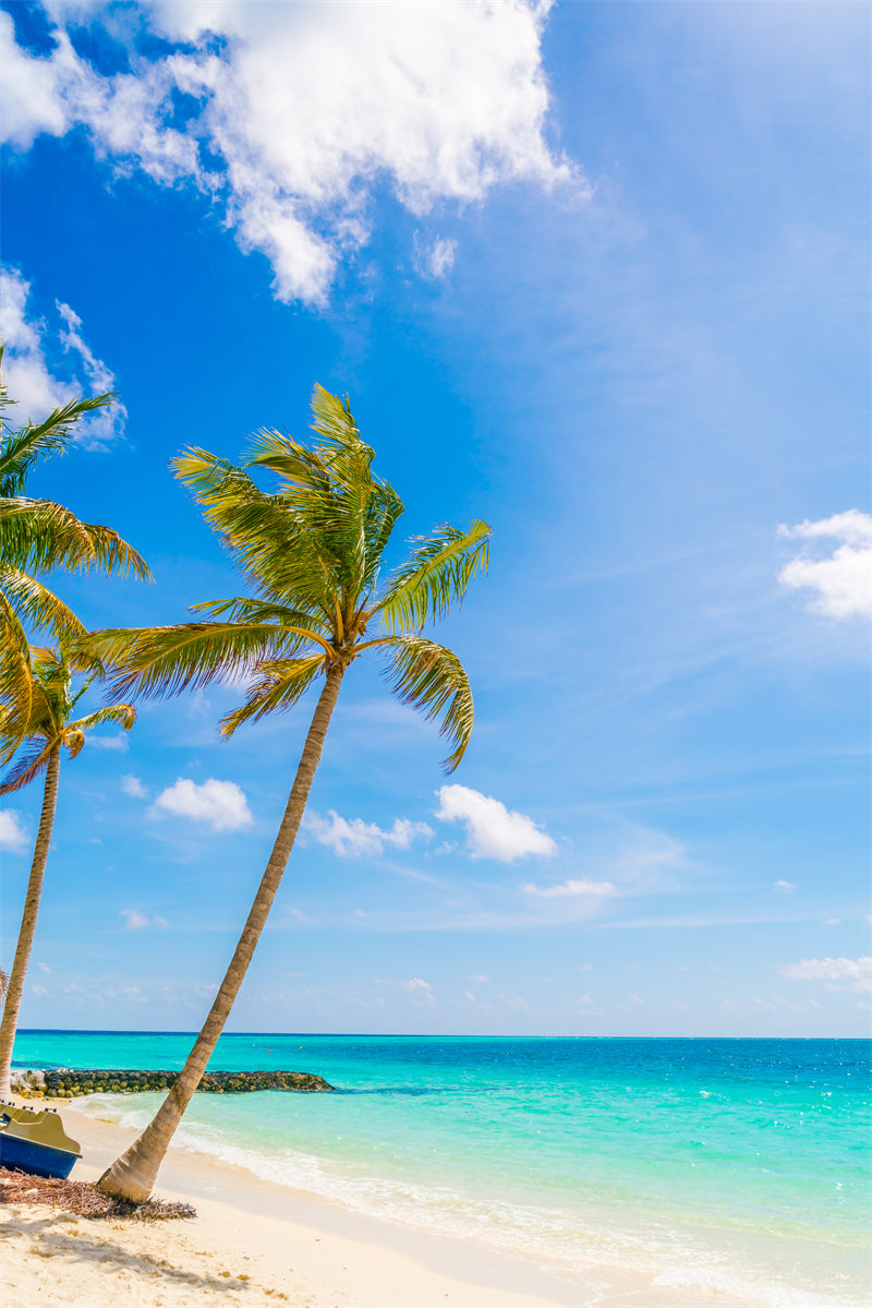 Paysage de bord de mer - Plage des Maldives avec palmiers - Plage tropicale des Caraïbes - Téléchargement gratuit en PNG/PSD/JPG