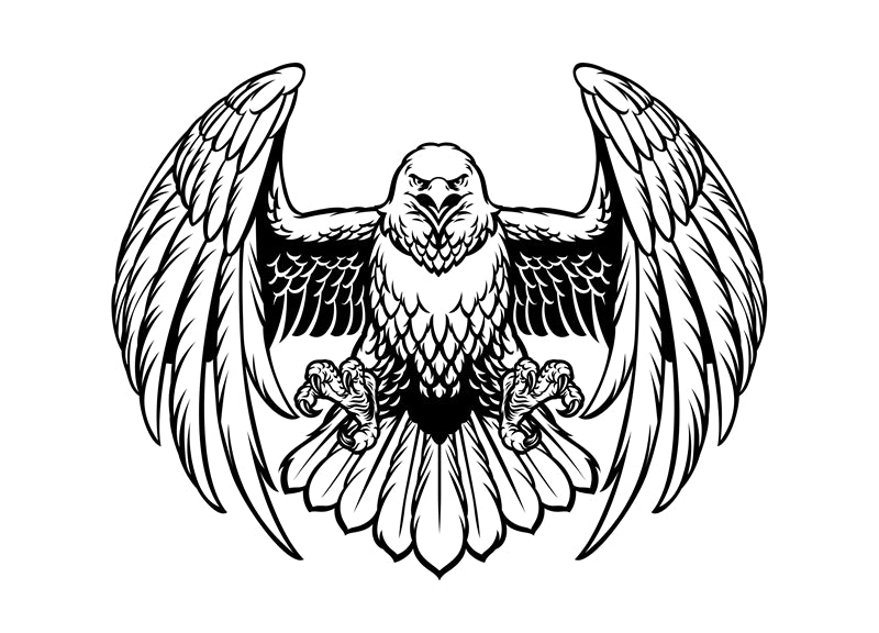 USA BALD Eagle Elements - Illustration - Design Vector Handdraw   