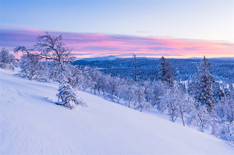 Seasonal Winter Forest - SNOW Covered - Winter Landscape - River - Png/PSD/JPG/ Free Download