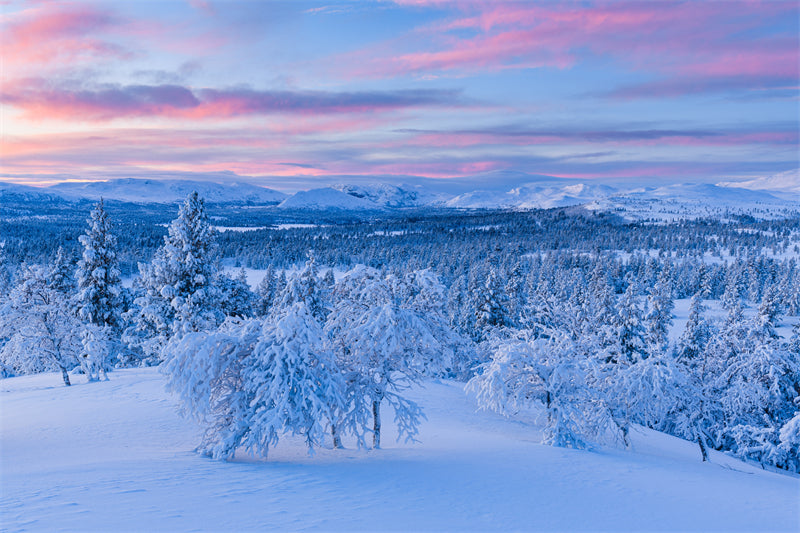 Seasonal Winter Forest - SNOW Covered - Winter Landscape - River - Png/PSD/JPG/ Free Download