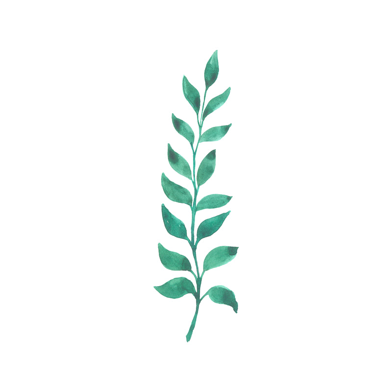 Feuille aquarelle dessinée à la main – Éléments de logo – Vecteur