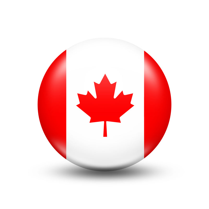 Canada Maple Elements - Illustration -Vector -Water Color Handdraw Background