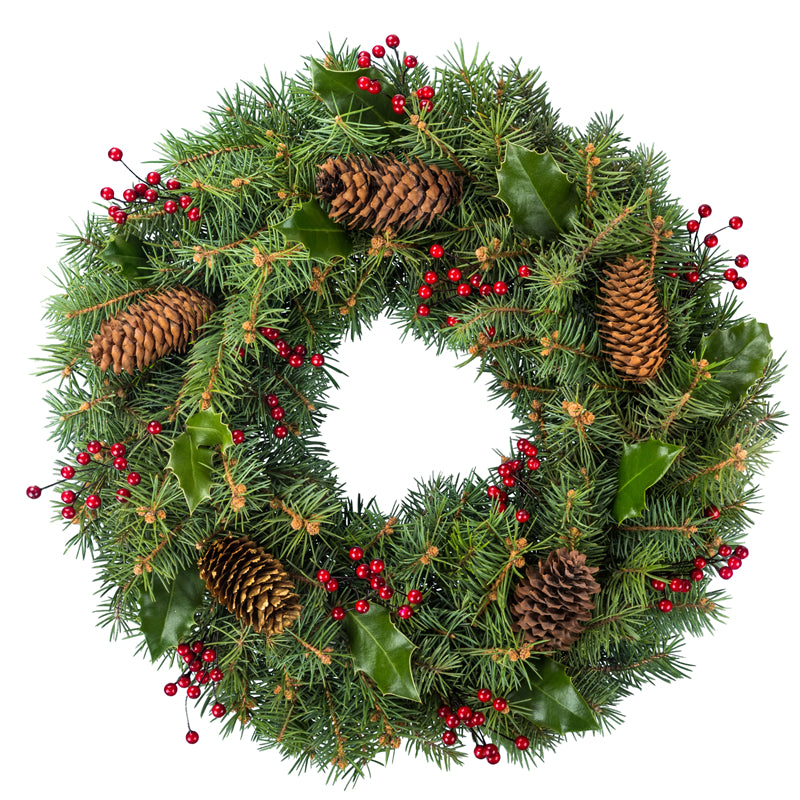 Handdraw Christmas Tree Illustration - Vector  - Png/PSD/JPG/ Free Download