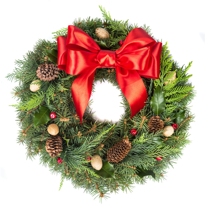 Handdraw Christmas Tree Illustration - Vector  - Png/PSD/JPG/ Free Download