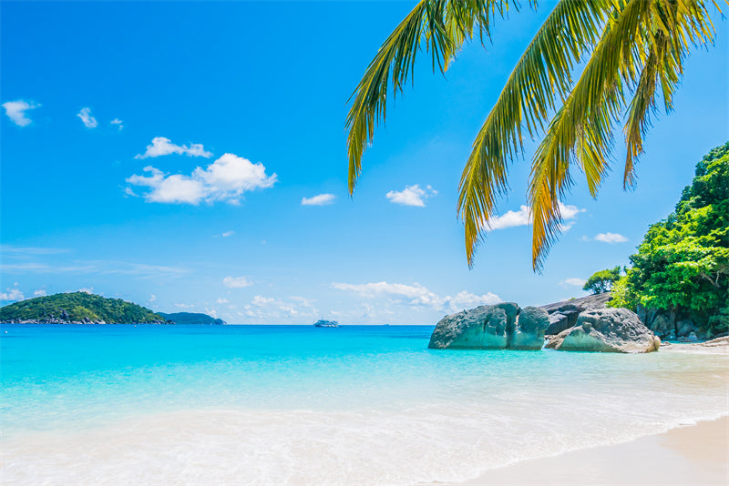 Paysage de bord de mer - Plage des Maldives avec palmiers - Plage tropicale des Caraïbes - Téléchargement gratuit en PNG/PSD/JPG