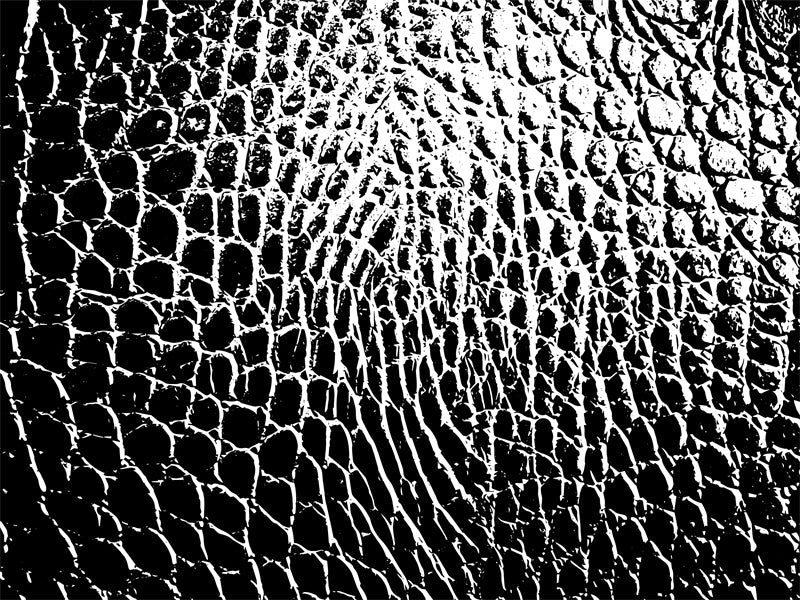 Crocodile Skin Pattern Texture - Illustration Image leather Free Download