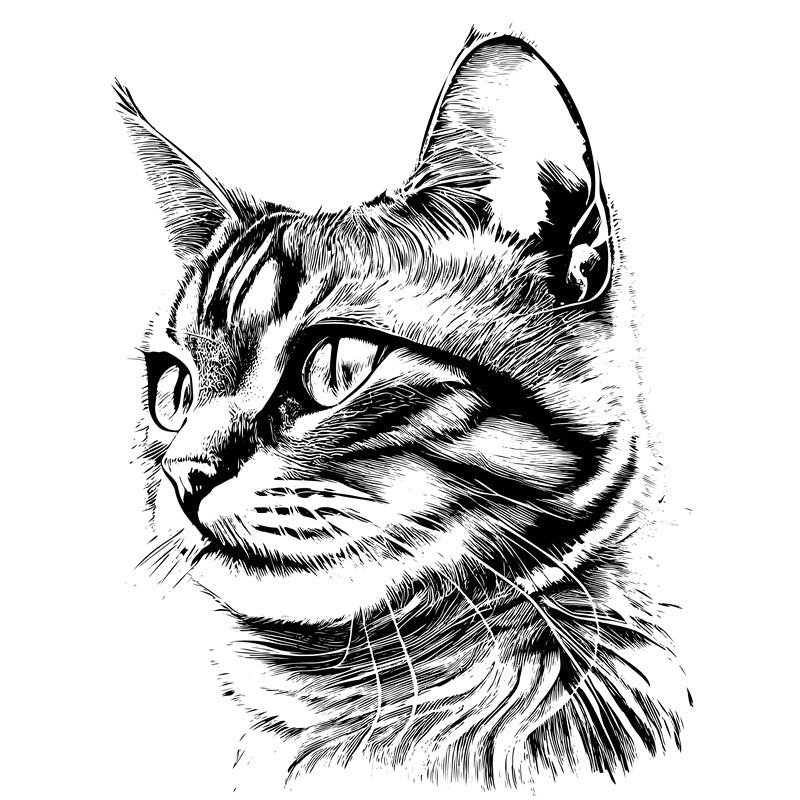 Conception de logo vectoriel d'élément de chat gratuite
