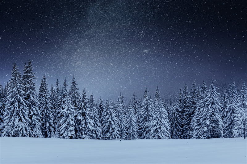 Seasonal Winter Forest - SNOW Covered - Winter Landscape - River - Png/PSD/JPG/ Free Download