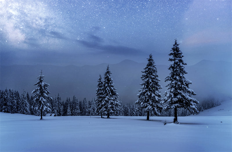 Seasonal Winter Forest - SNOW Covered - Winter Landscape - River - Png/PSD/JPG/ Free Download